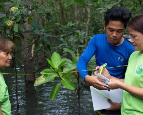 People collect data in a mangrove forest. Image credit: PATH Foundation Philippines, Inc.